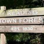 Reading Town Forest