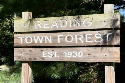 Reading Town Forest