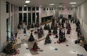 Festival of Trees Drone Preview 2022