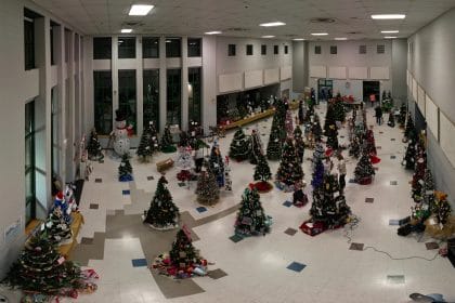 Festival of Trees Drone Preview 2022