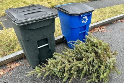 Trash and Trees Recycling Reading MA