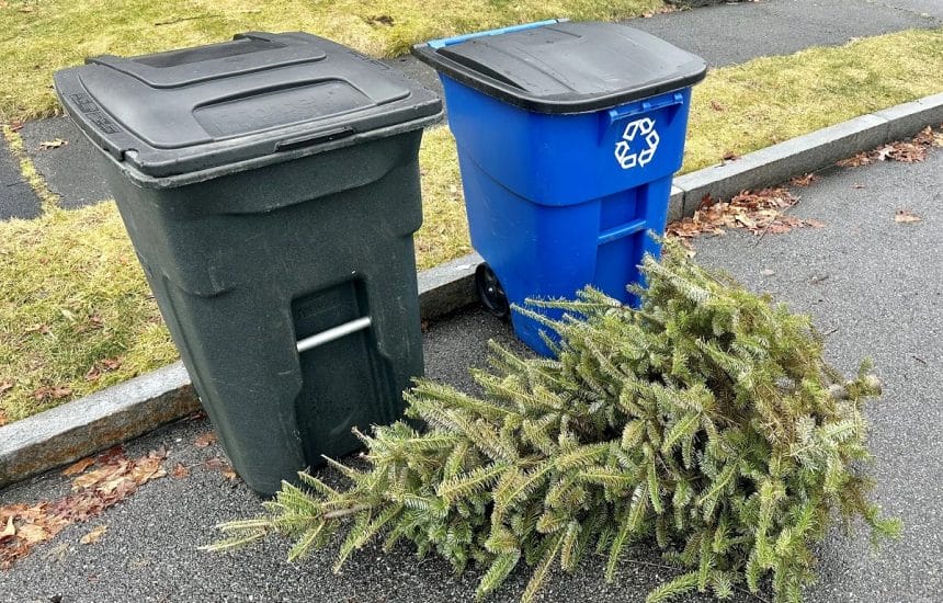 Trash and Trees Recycling Reading MA